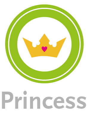 paquete de fiestas Princess